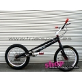 Fans - Bicicleta 20" Evo disco